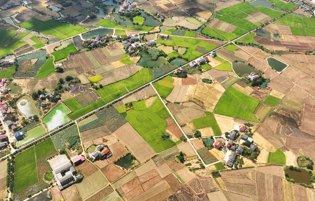 丰收 田野 景色