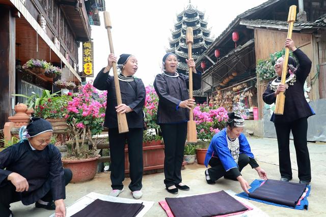 侗族 妇女 传统 捶打 天然 侗布 国庆 游客 体验 民俗 快乐