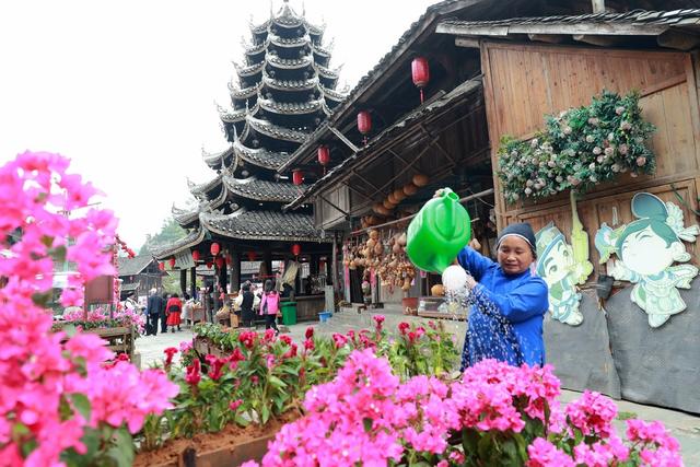 
 国庆 花卉 村民 浇灌  养护 点亮 侗寨 景观 观赏
