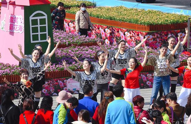 女人 花海