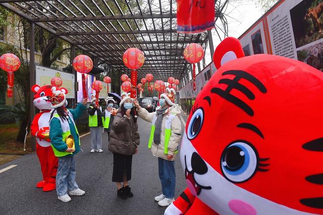虎年 迎新春 观虎园