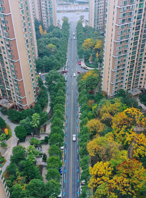 道路 提质 小区宜居