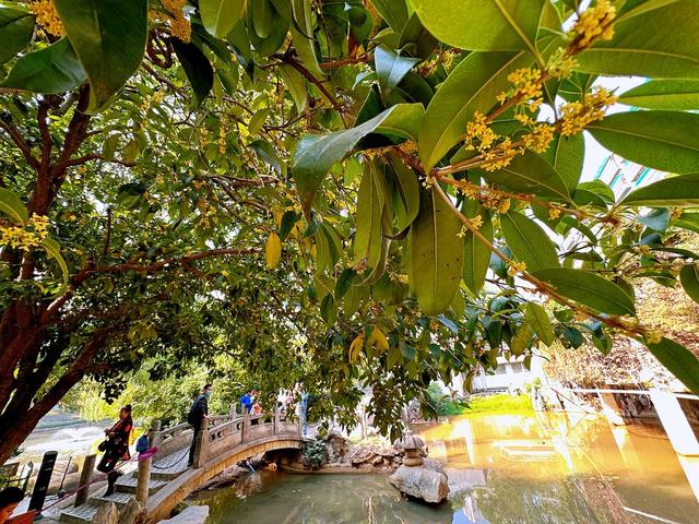 长沙 桂花公园 市民休闲