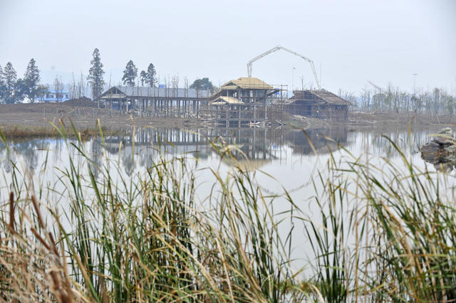 洋湖  湿地公园