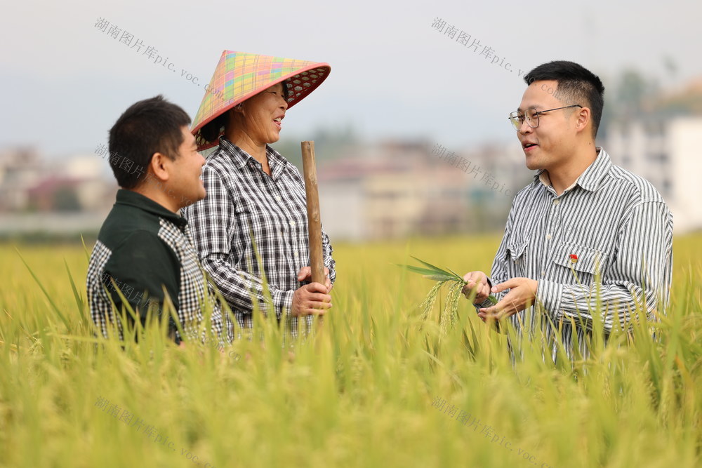 抗旱保收