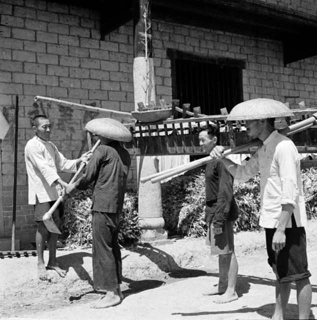 益阳 常德 岳阳 灾民 灾区 洞庭