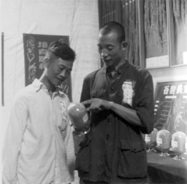 双季稻 参观 学习