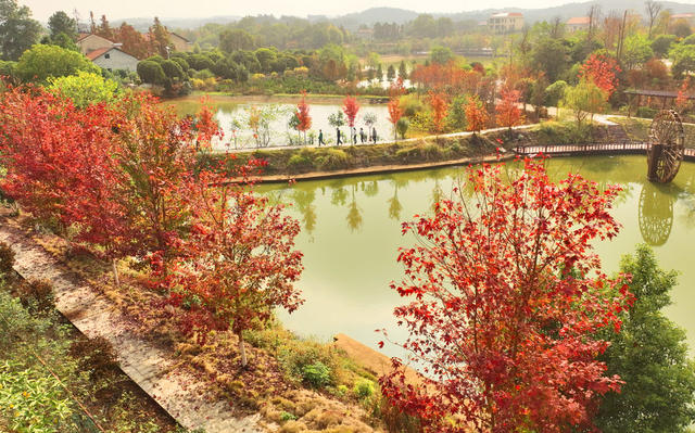 冬日 美景 衡阳市 珠晖区