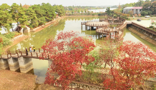 冬日 美景 衡阳市 珠晖区