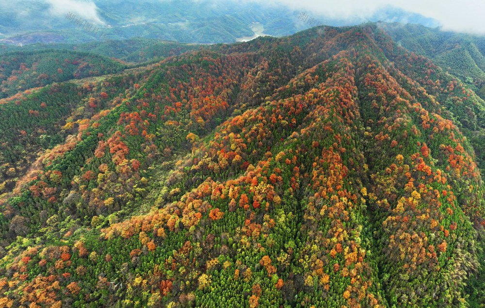 多彩 林海 衡阳县 岣嵝峰