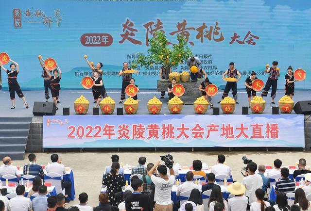 炎陵黄桃  黄桃大会 
