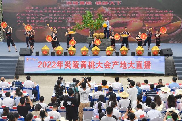 炎陵黄桃  黄桃大会 