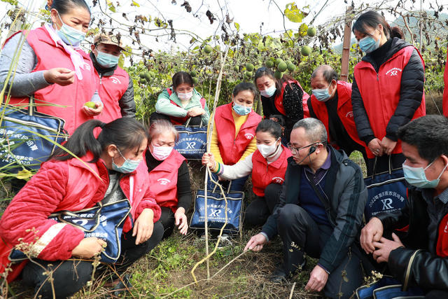 种植 基地 学校 组织 农民 培训 助力 乡村 振兴
