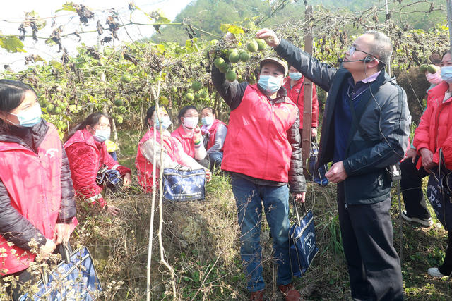 种植 基地 学校 组织 农民 培训 助力 乡村 振兴
