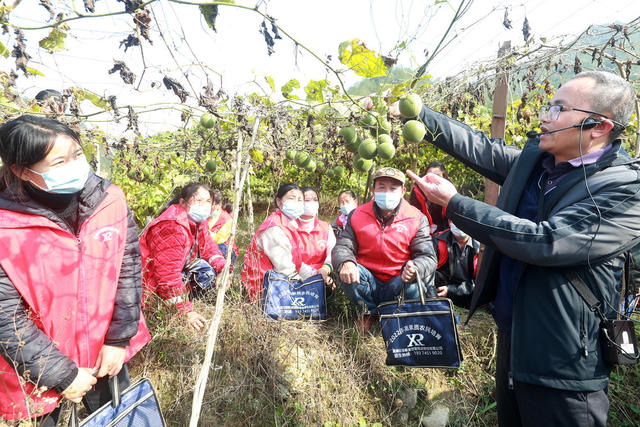 种植 基地 学校 组织 农民 培训 助力 乡村 振兴

