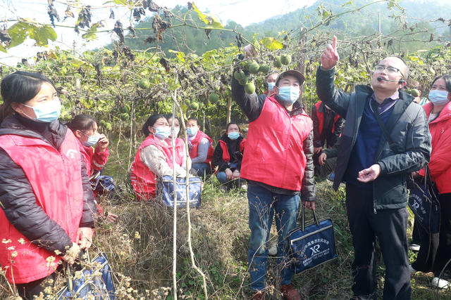 种植 基地 学校 组织 农民 培训 助力 乡村 振兴
