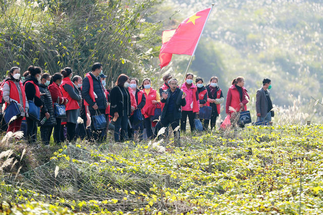 种植 基地 学校 组织 农民 培训 助力 乡村 振兴
