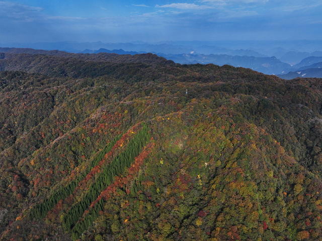 自然保护区 生物多样性 原始森林 张家界 桑植八大公山
天平山 斗蓬山