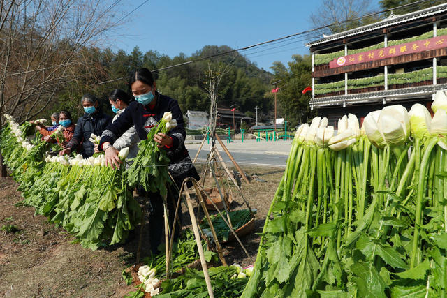 传统 制作 盐菜 飘香餐饮 产业发展 旅游 助力 乡村 振兴