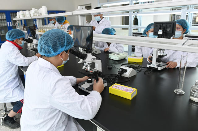 职业教育,,,,人才市场,,学校,,学生,,就业,,机器人,,实践操作,校企合作,专业共建,,企业,,订单培训