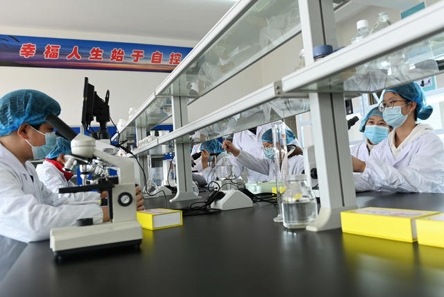职业教育,,,,人才市场,,学校,,学生,,就业,,机器人,,实践操作,校企合作,专业共建,,企业,,订单培训