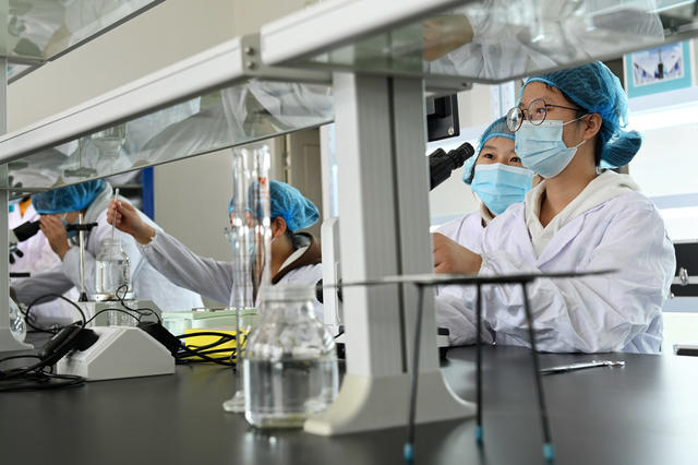 职业教育,,,,人才市场,,学校,,学生,,就业,,机器人,,实践操作,校企合作,专业共建,,企业,,订单培训