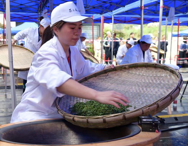 制茶 赛场 茶农 技艺 飘香