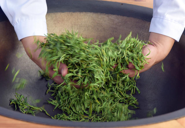 制茶 赛场 茶农 技艺 飘香