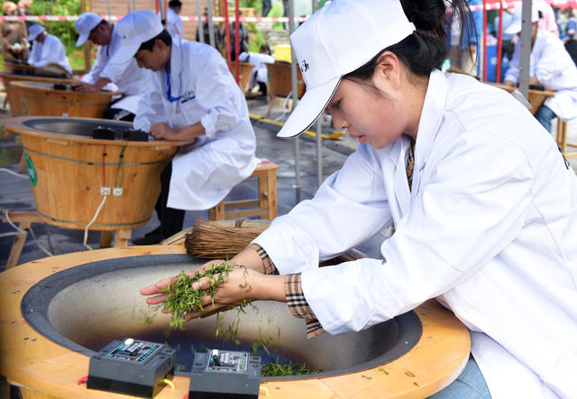 制茶 赛场 茶农 技艺 飘香