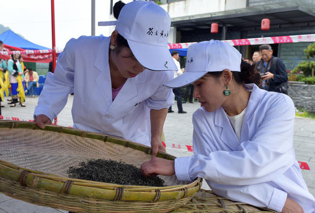 制茶 赛场 茶农 技艺 飘香