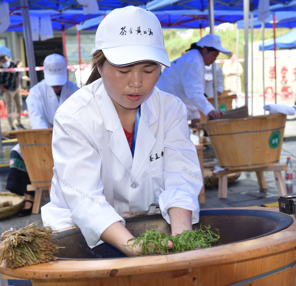 制茶 赛场 茶农 技艺 飘香