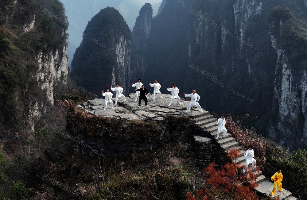 太极拳 师生 户外 锻炼