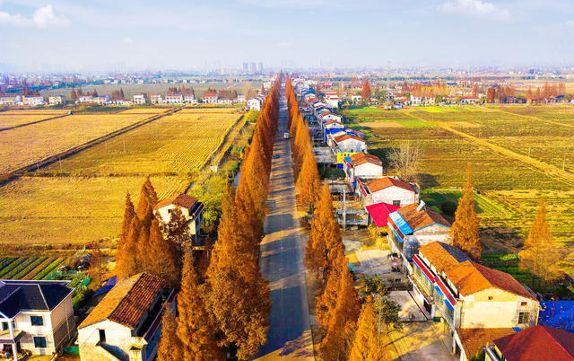 旅游