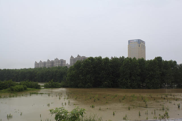 洪峰 洪水 资江 资水 暴雨 水位 特大洪水 防汛 救灾 湖南 桃江