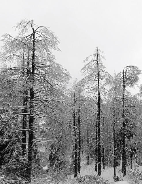 雪峰山  山背梯田  冰冻  
怀化 大雪
