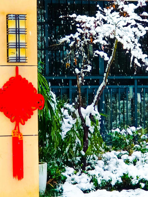 雪峰山  山背梯田  冰冻  
怀化 大雪