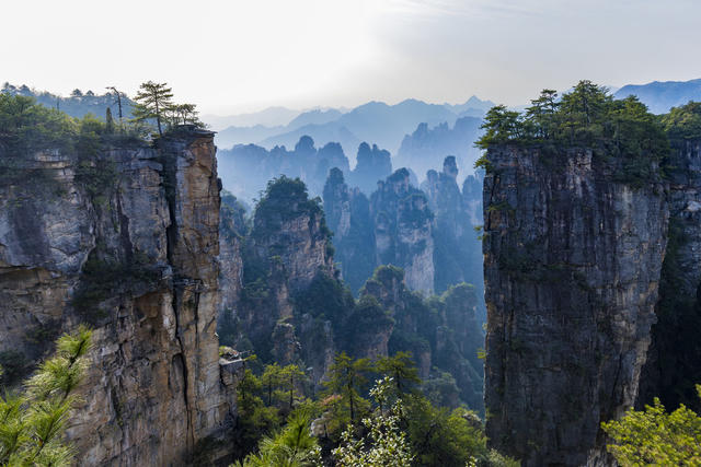 张家界 武陵源 天子山 景区 景点 旅游 目的地 山 山脉 山峰 喀斯特地貌 地理 地形 著名景点 自然 宁静 风景 户外 岩石 植被