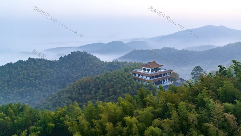 竹林 生态 景区 竹海 景区 景点 桃花江竹海 旅游 旅行 目的地 自驾游 晨 雾 仙境