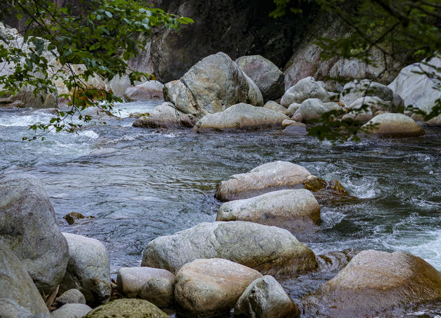 梨树洲 景区 旅游 避暑 目的地 自然 风光 山地 峡谷 溪水 山区 户外 自然 森林 炎陵