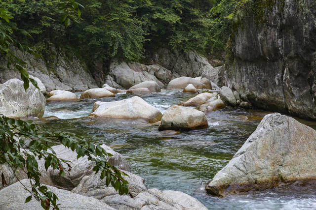 梨树洲 景区 旅游 避暑 目的地 自然 风光 山地 峡谷 溪水 山区 户外 自然 森林 炎陵