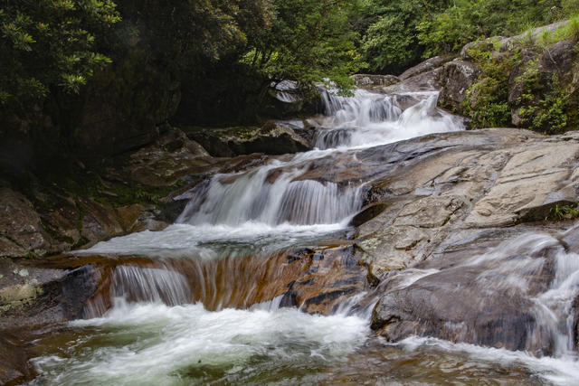 梨树洲 景区 旅游 避暑 目的地 自然 风光 山地 峡谷 溪水 山区 户外 自然 森林 炎陵