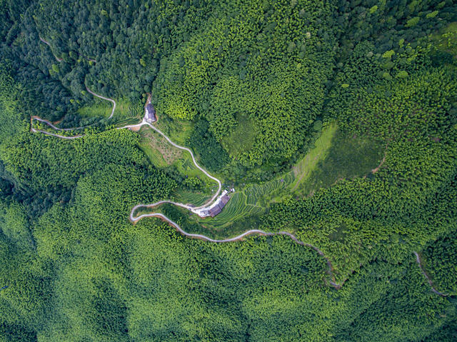 炎陵 炎陵陵 旅游 旅行 目的地 景区 自然风光 风景 景点 绿色 生态 