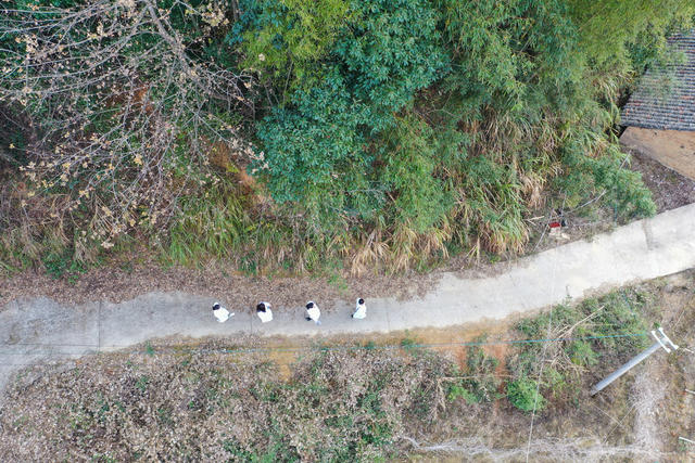 家庭医生 抗疫 农村 健康中国