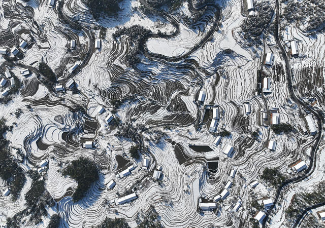 梯田 雪后 雪景