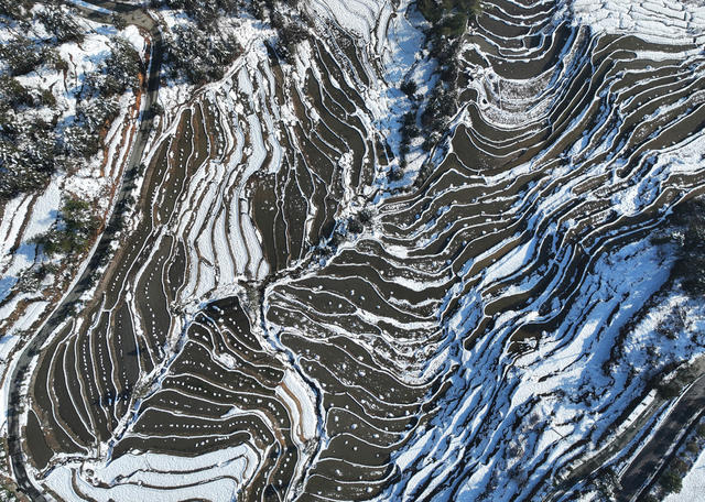 梯田 雪后 雪景