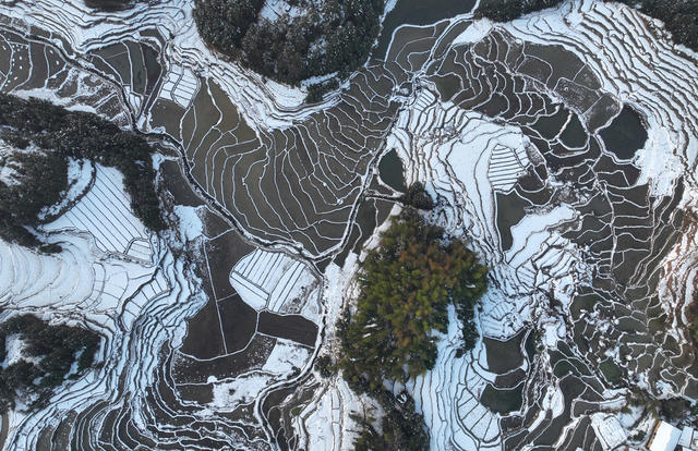 梯田 雪后 雪景