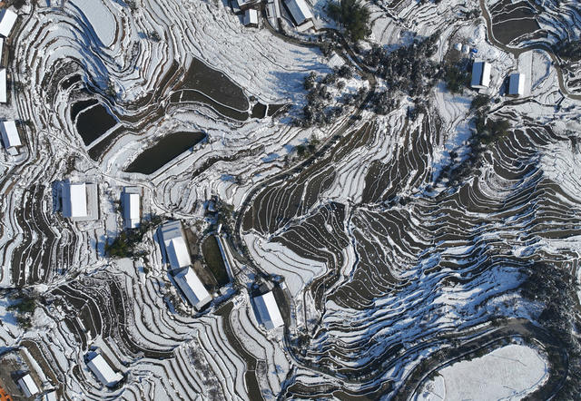 梯田 雪后 雪景