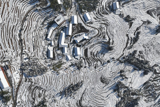 梯田 雪后 雪景