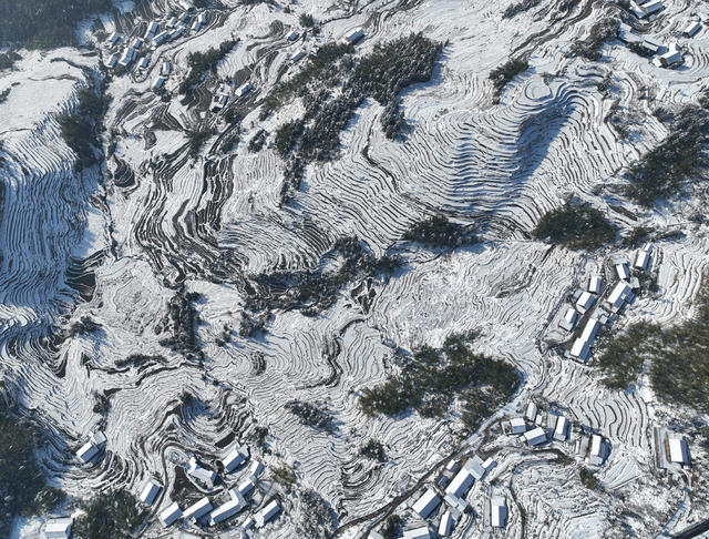 梯田 雪后 雪景