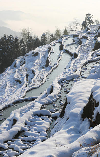梯田 雪后 雪景